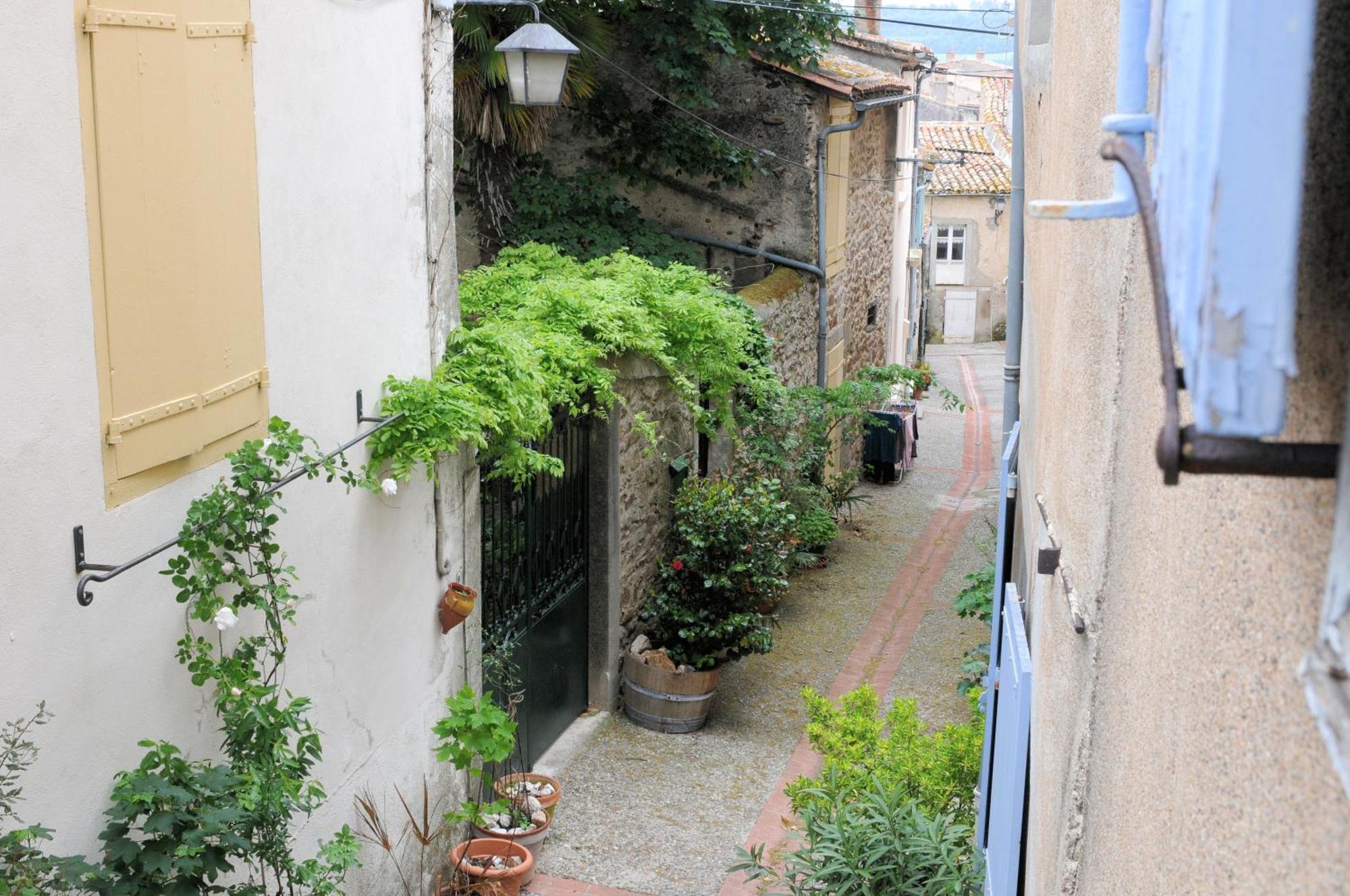 Maison Rives - Village Du Livre De Montolieu Exterior foto